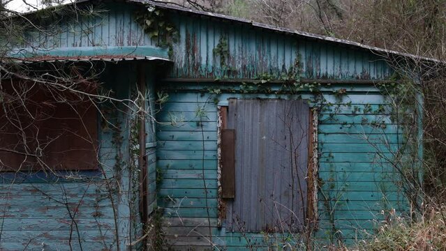 Old abandoned house in the forest, close-up, autumn