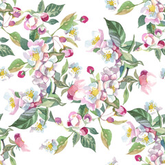 seamless pattern with watercolor branch blossom apple tree flowers