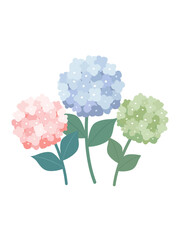 Collection of three hydrangeas isolated on a white background. Vector beautiful flowers in flat style.