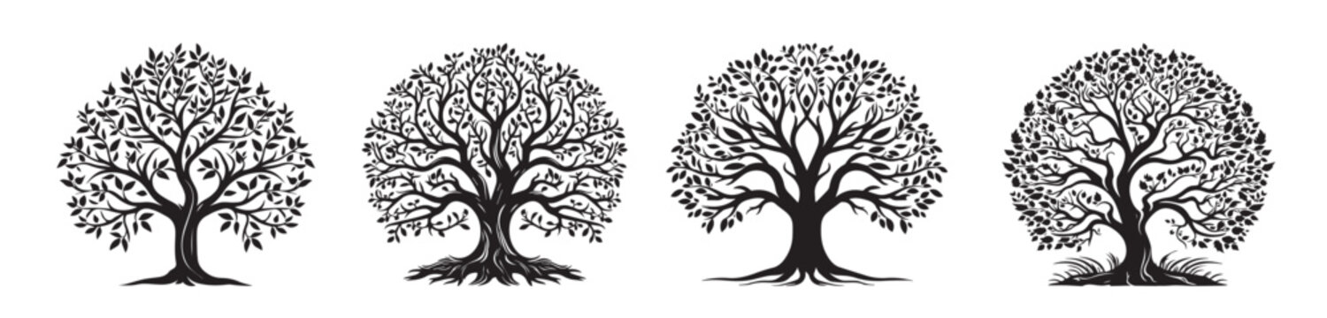  set of trees silhouettes, tree of life vector images, black and white decorative vector