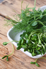 microgreen sunflower and peas on a white plate