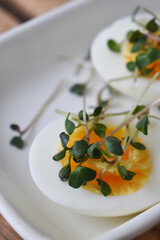 Egg with microgreen radish on a white plate