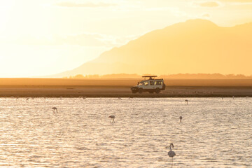 a safari vehicle at the lakeside of Amboseli NP
