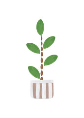 Fototapeta na wymiar Ornamental plant on a long stem. Houseplant in a striped pot. Isolated abstract gouache illustration