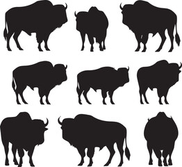 Set of Bison Silhouette vector on white background
