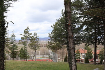 Very nice weather trees and landscape in winter