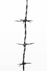 A black and white photo of barbed wire. Suitable for illustrating concepts of security, boundaries, or confinement