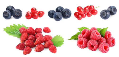 Wild berries isolated on white, collection. Raspberries, bilberries, strawberries, red currants