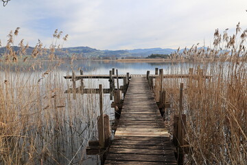 Naklejka premium Blick auf den Pfäffikersee im Kanton Zürich in der Schweiz 