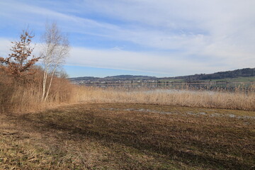 Blick auf den Pfäffikersee im Kanton Zürich in der Schweiz	