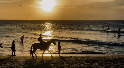 Playa con caballo
