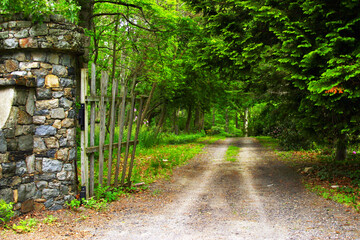 Horizontal photo of an old stone wall with a broken wooden gate opening to a one lane dirt road leading into a lush green forest.