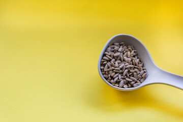 Winter landscape with stream and waterfall in a city park in Europe