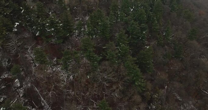 winter mountain