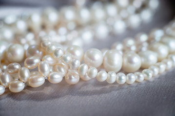 Luxury  necklace with pearl. Background, wealth