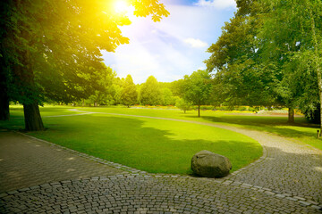Summer park with green meadow