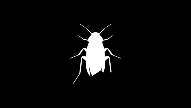 Cockroach graphic animation. Alpha channel. 4K resolution