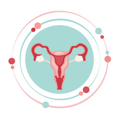 Female reproductive system graphic icon symbol