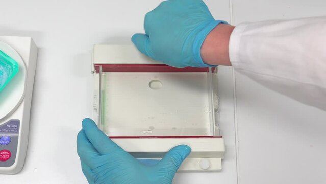 Agarose gel preparation in the gel tray using the 30-well comb. High quality 4k footage