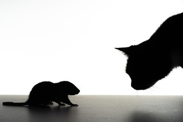 Funny Mouse and fun cats silhouette. Cat and mouse together isolated on a white background. Cat in Alertness Hunting on the Little Mouse on the Table. Cat hunt mouse closeup. Cat.