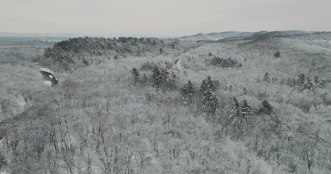 winter landscape