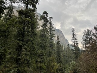 vista de una montaña rocosa en medio del bosque verde