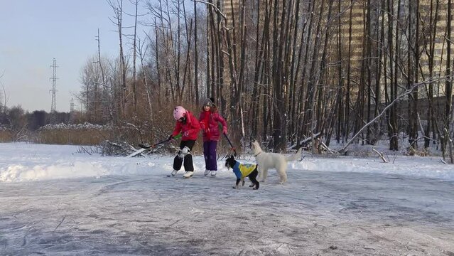 Two girls play hockey near two dog on pond in park at sunny day