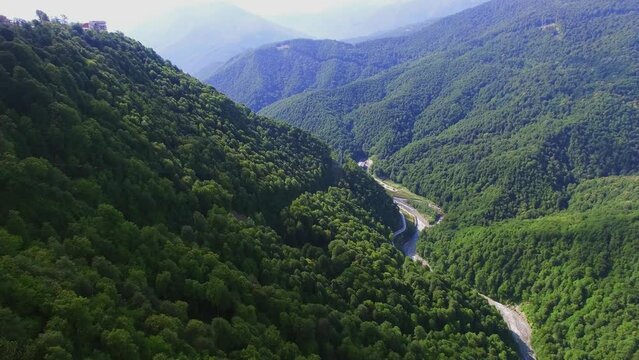 River is among mountains covered by plants at summer sunny day. 