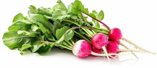 Isolated white background radish image, with clipping path and depth of field.