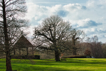Scenic view of a leafless tree in a lush green field with a traditional thatched-roof cottage in...