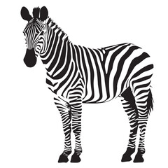 Fototapeta na wymiar A Full Body Black Silhouette of a Zebra 2D