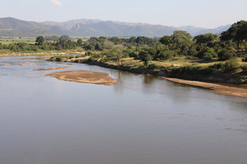 Afrikanischer Busch - Krügerpark - Crocodile River / African Bush - Kruger Park - Crocodile River /