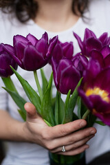 Purple tulips in hands natural on white t-shirt spring flowers warm background