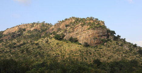Fototapeta na wymiar Krüger Park - Afrikanischer Busch - Inselberg / Kruger Park - African bush - Koppie /