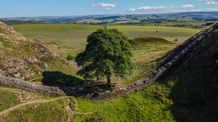 Robin Hood Sycamore Gap Tree at Hadrian's Wall.
