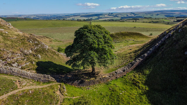 Robin Hood Sycamore Gap Tree at Hadrian's Wall.