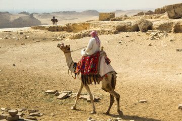 Photo of a local riding a camel in Giza