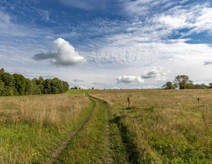 Fototapeta na wymiar landscape with sky and clouds