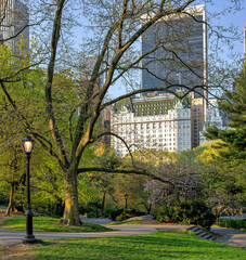 Central Park in spring, early orning