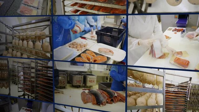 videos with the process of producing fish products are added to the screen 4K