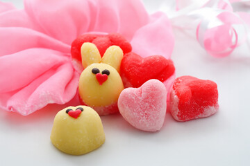 Valentine's Day Bunny  Chicky Love.