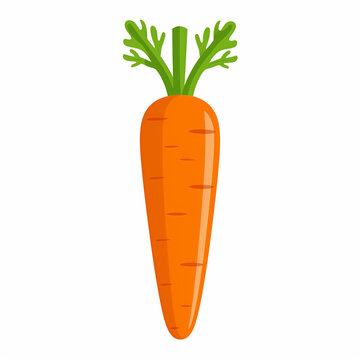 Collection of Vector Carrot Illustrations: From Simple to Abstract in Bright Orange and Green Shades