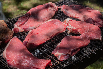 high quality beef chunks being prepared on a barbecue grill
