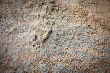 brown stone background with an interesting pattern 