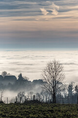 Donzenac (Corrèze, France) - La Rochette - Vue hivernale de la vallée de la Vézère prise dans la brume - 725129549