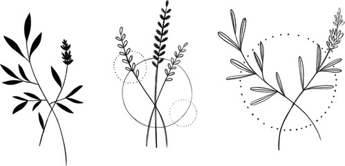 minimal botanical graphic sketch drawing, floral elements vector illustration ,tiny tattoo design vector