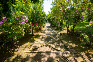 Fototapety na wymiar - Fototapeta24.pl