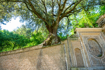 Fototapeta premium Garden of Farnese - Caprarola - Italy