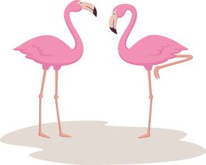 Cute flamingos cartoon on white background