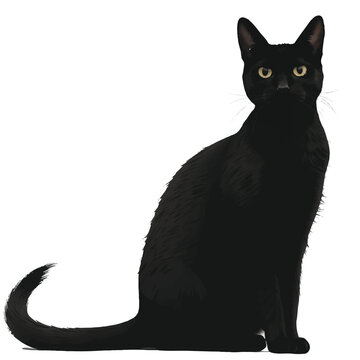 A cat vector silhouette. White background. P...